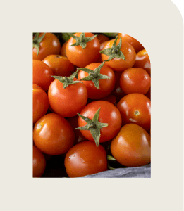 Tomates cherry