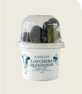 Lonchera Yogurt Griego y Arándanos