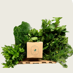 Combo Aromáticas Campo