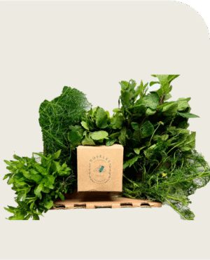 Combo Aromáticas Campo